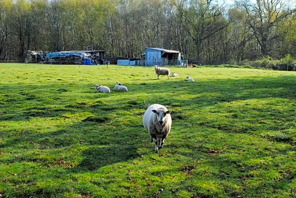 Voir la photo 3 — Chambres d'hôtes La Tribu