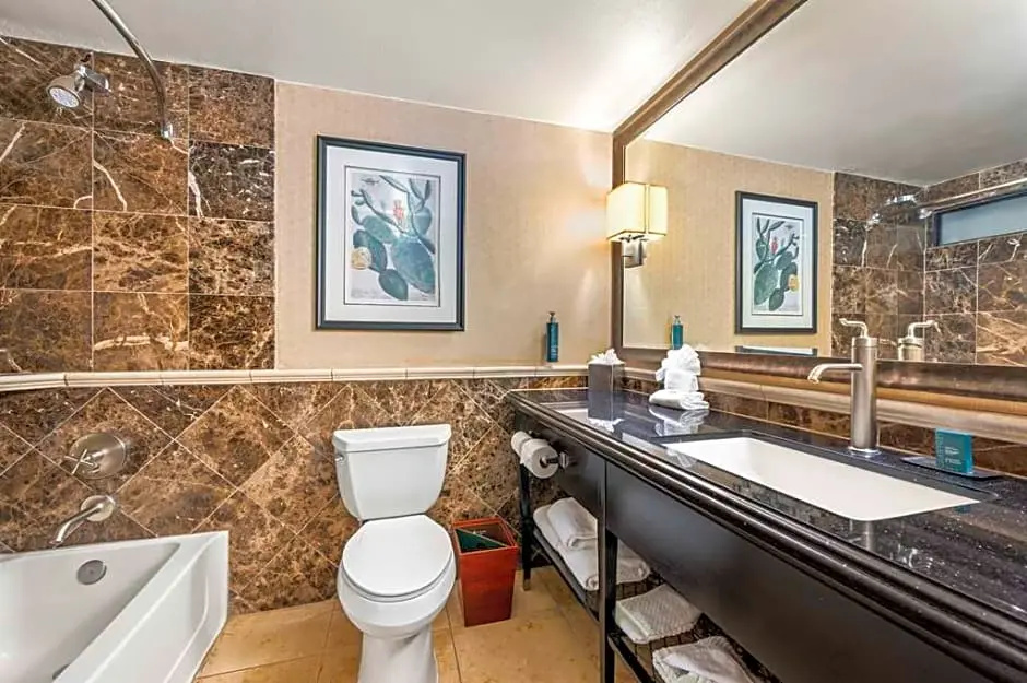 DoubleTree by Hilton Tucson - Reid Park - Chambres