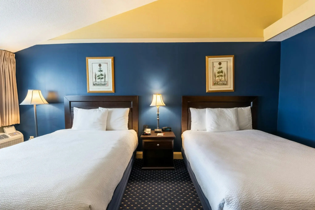 Hotel photo 29