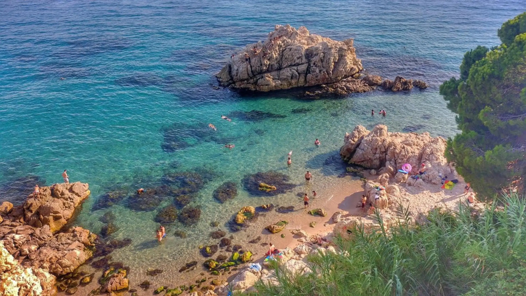 Hotel Oasis Park Splash photo 29