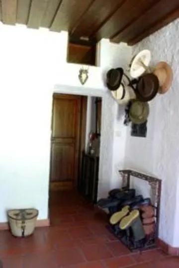 image url