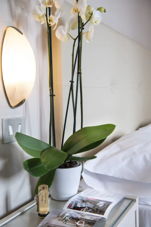 Hotel Ariston & Spa - Chambres