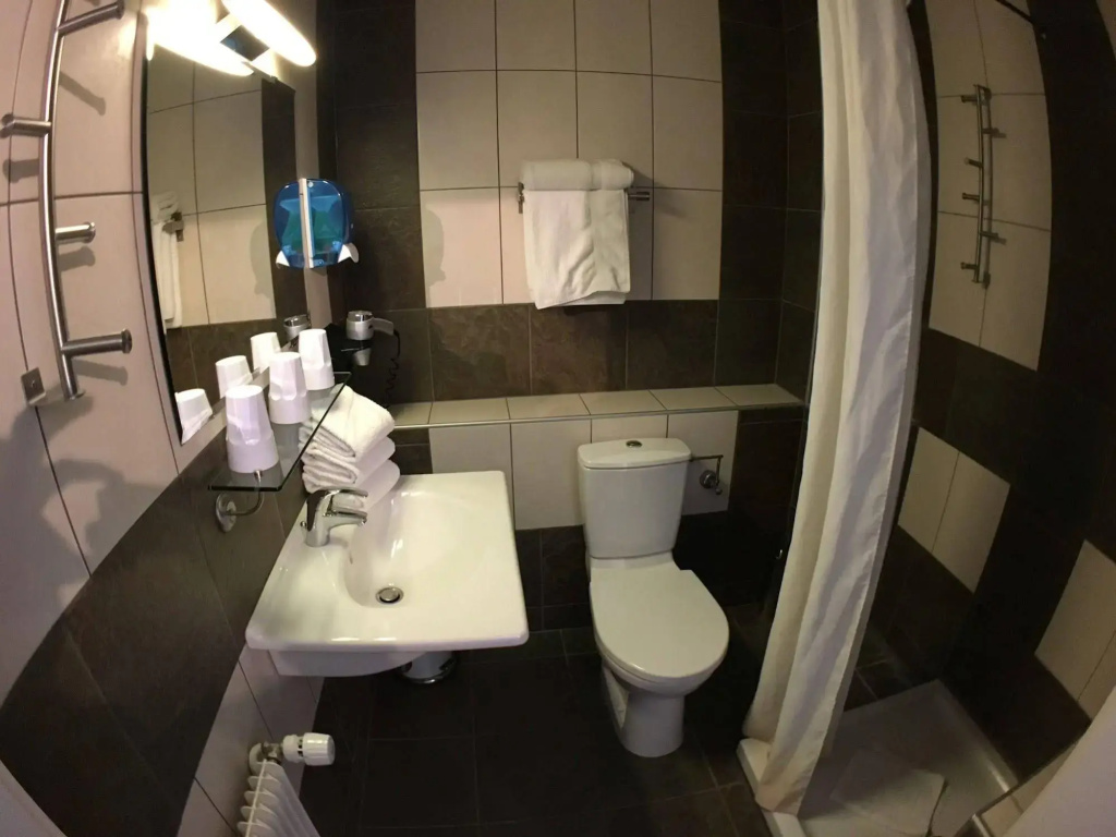 Brit Hotel et Spa COLMAR EAST - Général