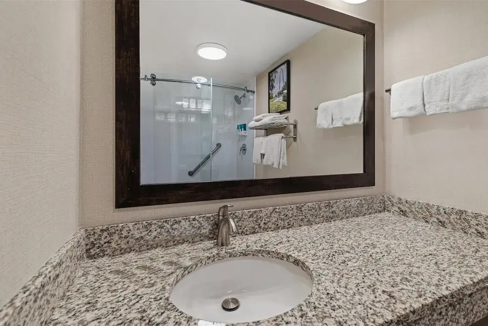 Drury Plaza Hotel St. Louis Creve Coeur - Chambres