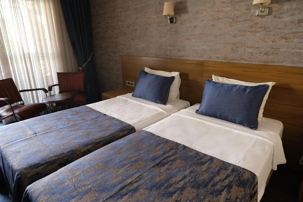 Standard Double room with land view (twin beds)