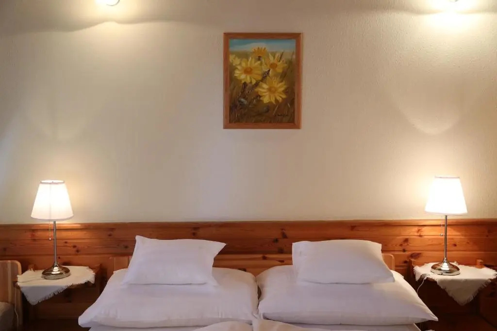 Hajdú Kastély Hotel - Chambres