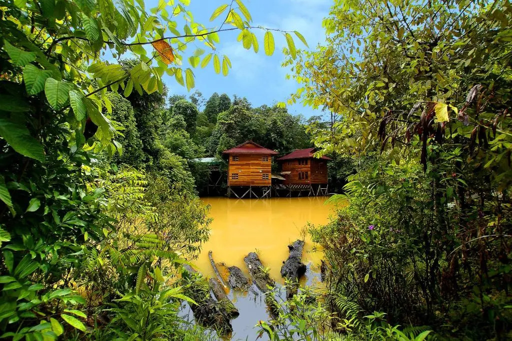 Borneo Tropical Rainforest Resort