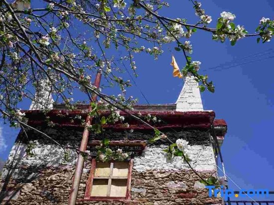 shanjian•huayu coffee Hostel in Danba