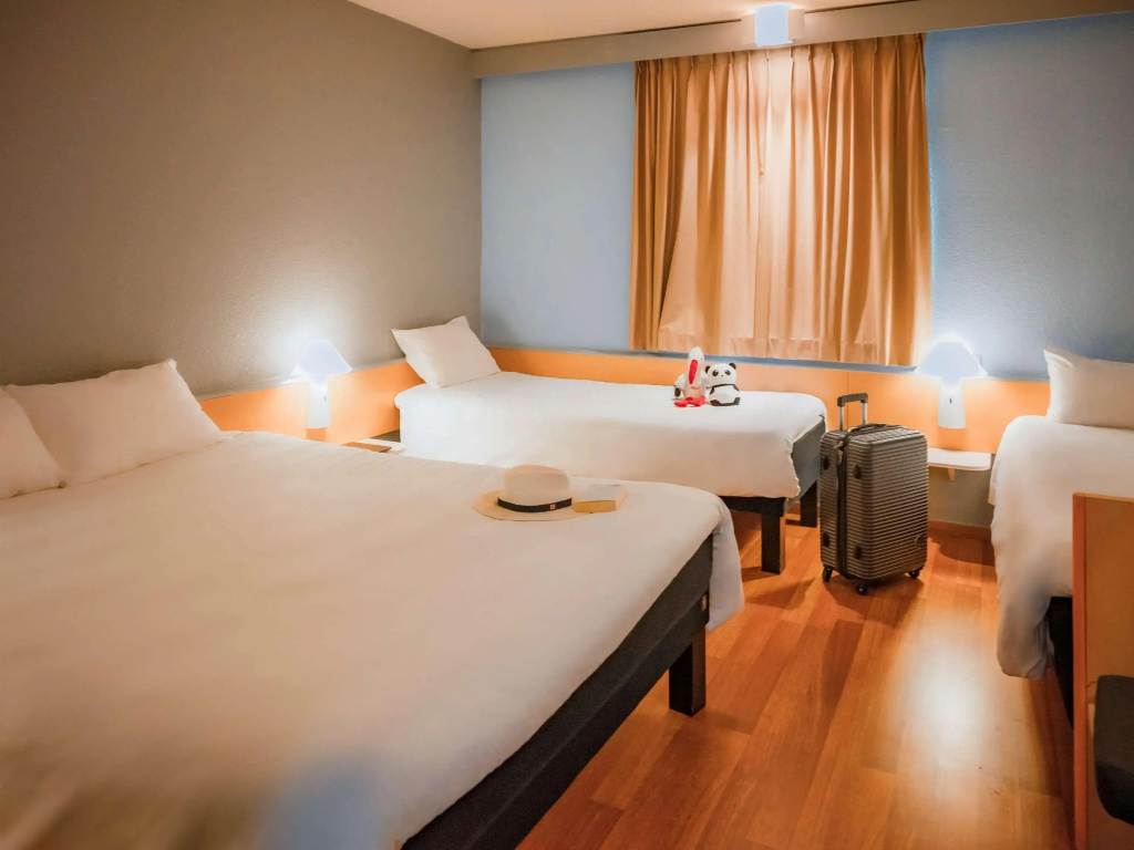 ibis Colmar Est - Général