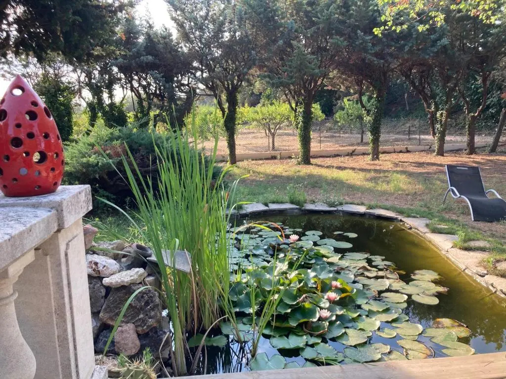 Le Chêne Et L'Eau