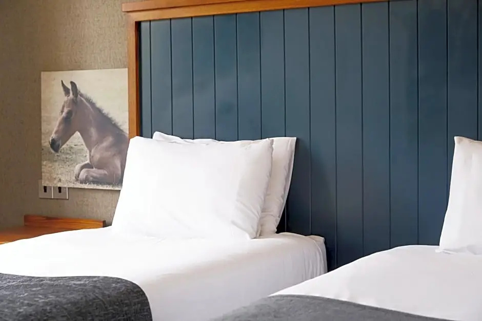 White Rabbit Hotel by Chef and Brewer Collection - Chambres