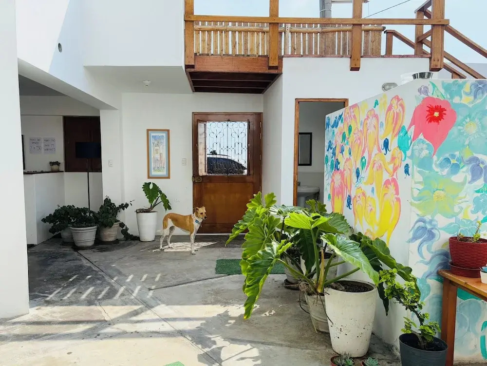 El Templo Surf House - фото 5