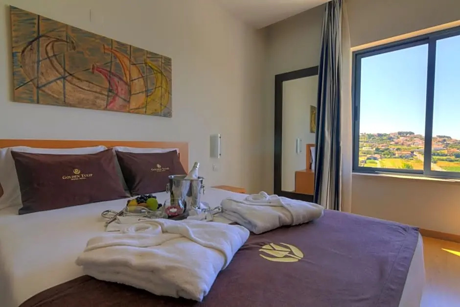 Tulip Inn Estarreja Hotel & Spa - Chambres