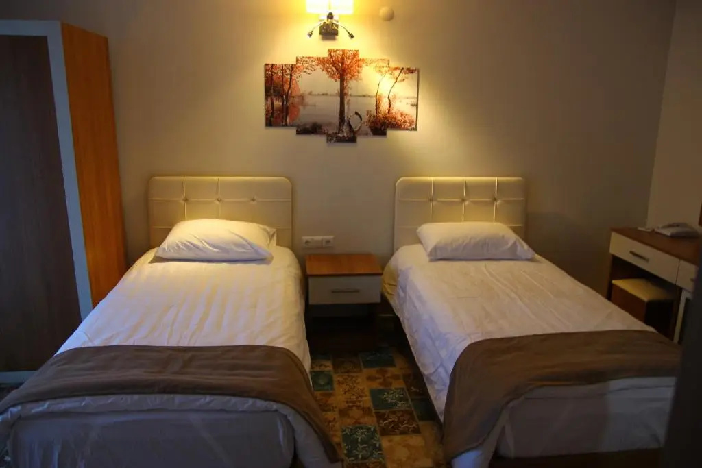 Standard Double room with city view (twin beds)