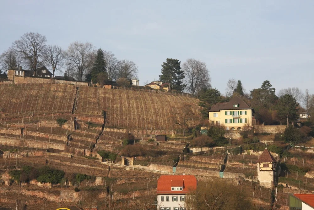 Hotel Am Schelztor - Général