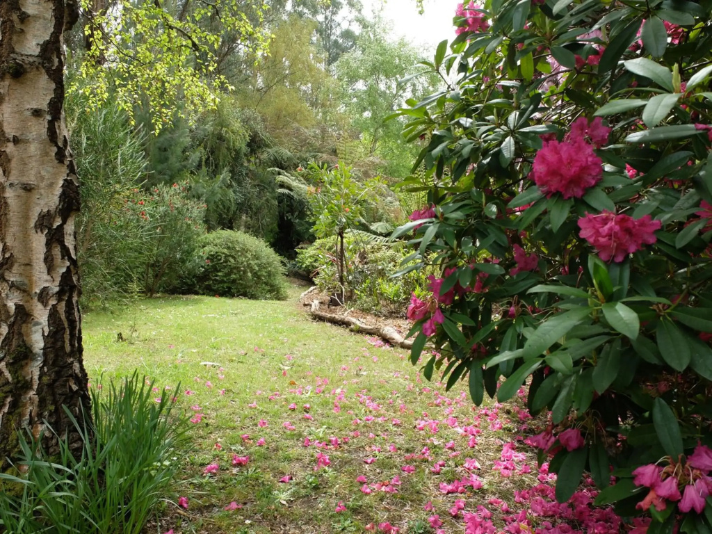 Braeside Bliss