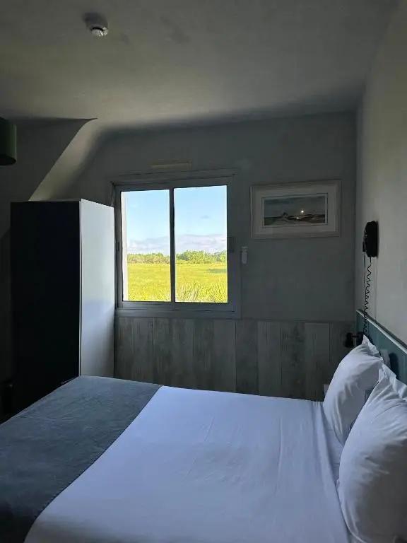 Standard Double room with garden view (full double bed)