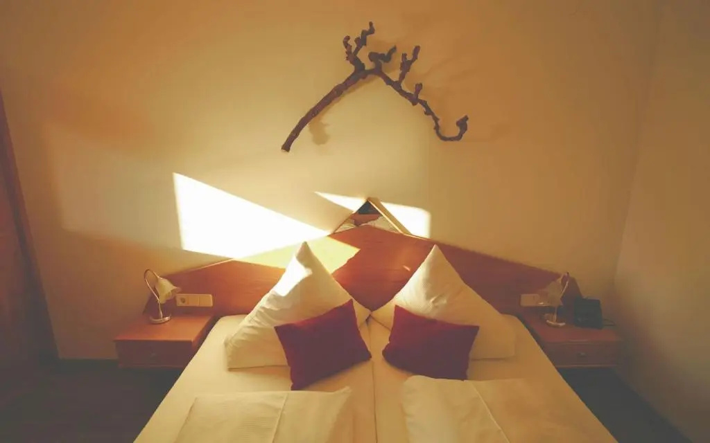 Hotel Pfleger - Chambres