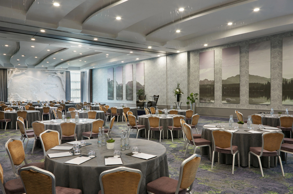 Crowne Plaza Hotel Blanchardstown by IHG - Général