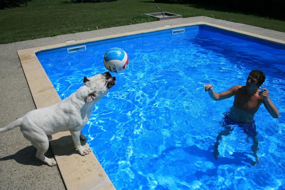 Kerca Bio Farm - фото 10