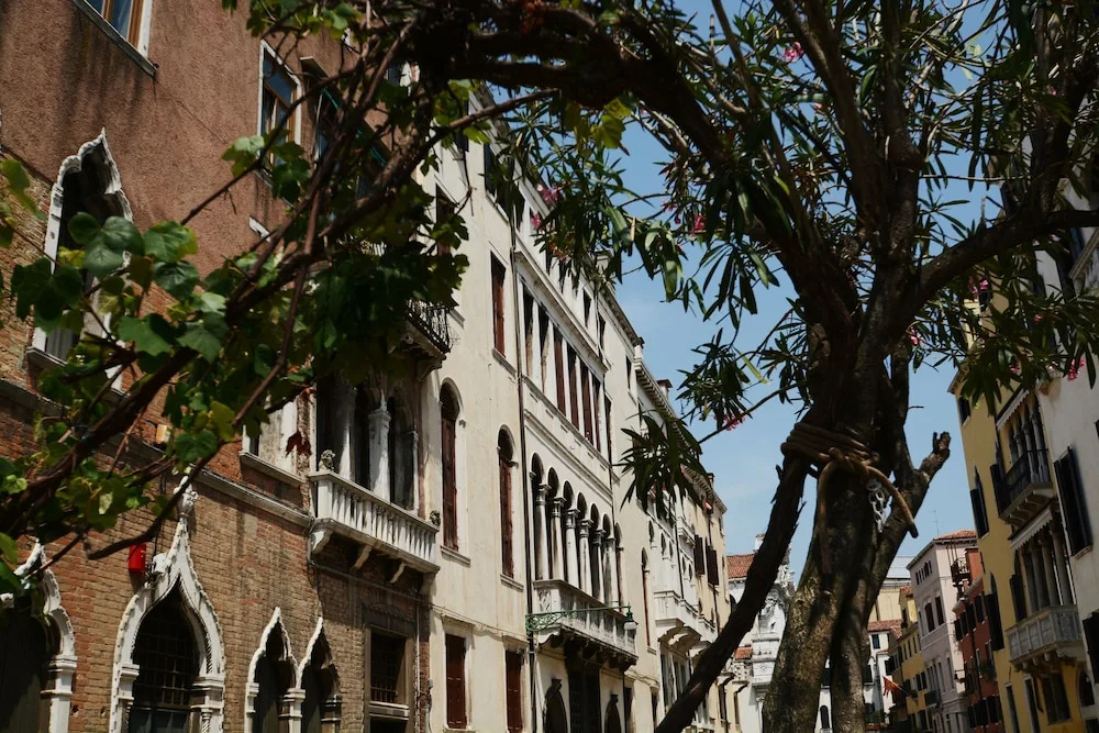 Ve.N.I.Ce Cera Palazzo Grimani