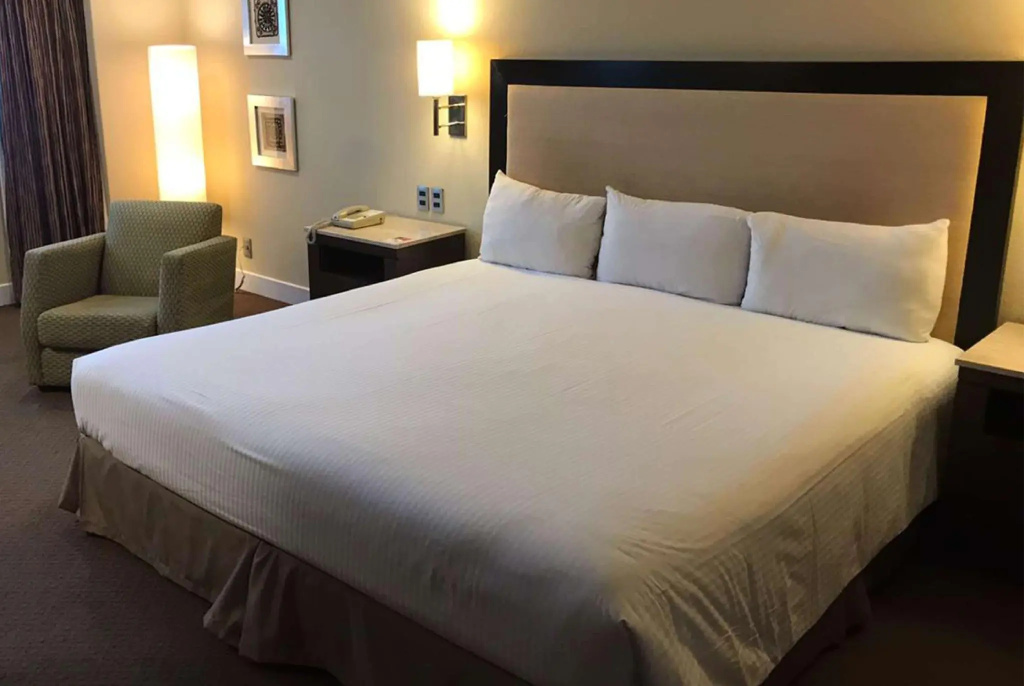 Exe Alameda Reforma Hotel - Chambres