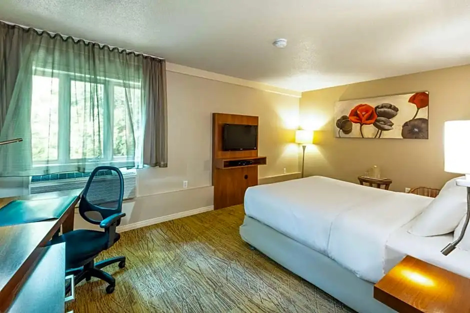 Comfort Inn Mont Laurier - Chambres