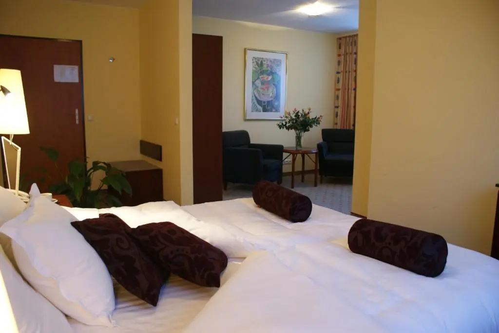 Hotel Wilga by Katowice Airport - Chambres