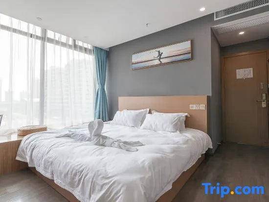 Standard Double room with city view (full double bed)