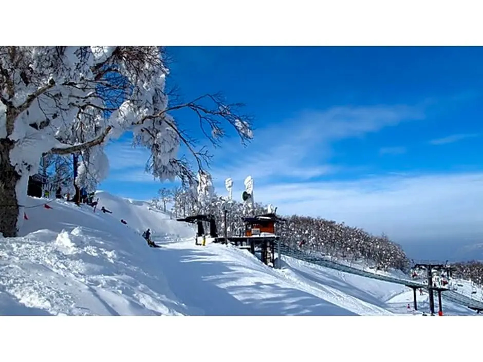 Yamagata - Hotel / Vacation STAY 51856
