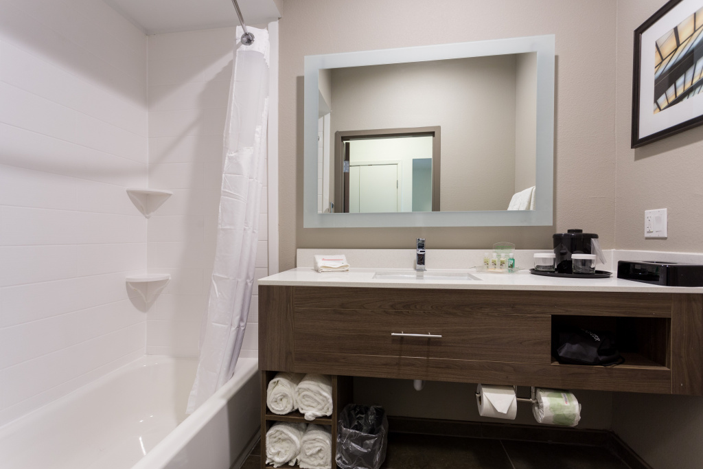 Holiday Inn San Marcos-Convention CTR Area by IHG - Général