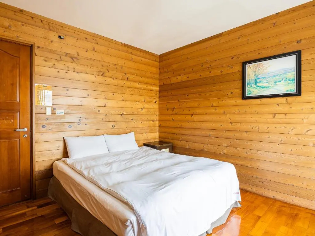 Standard Double room with lake view (full double bed)