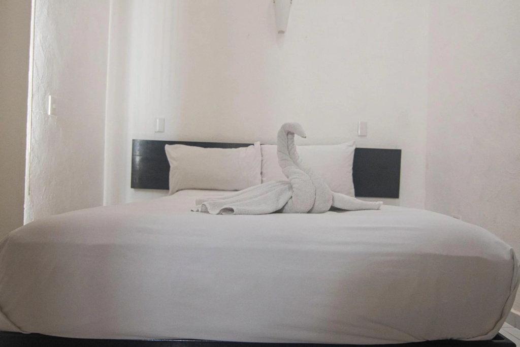 Hotel Maya Turquesa - Playa del Carmen - Général