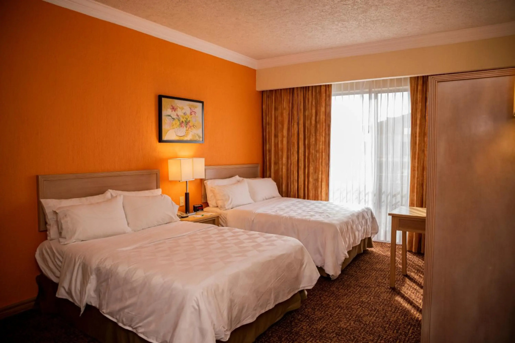 Holiday Inn La Piedad by IHG - Général