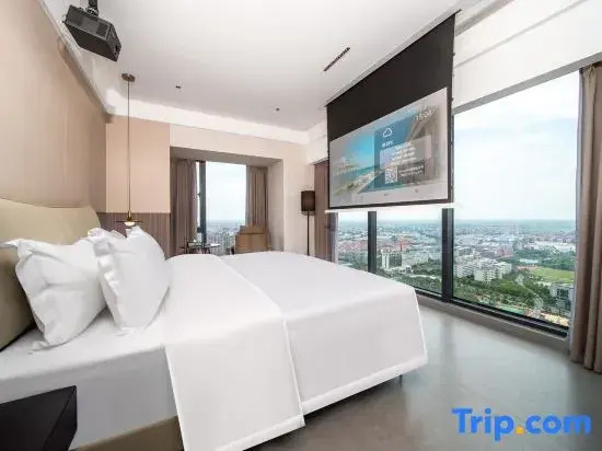 Standard Double room with city view (full double bed)