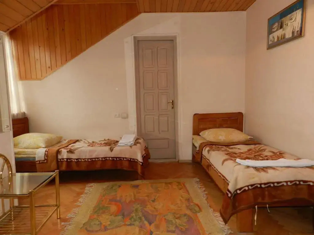 Dzveli Ubani Hotel - Général