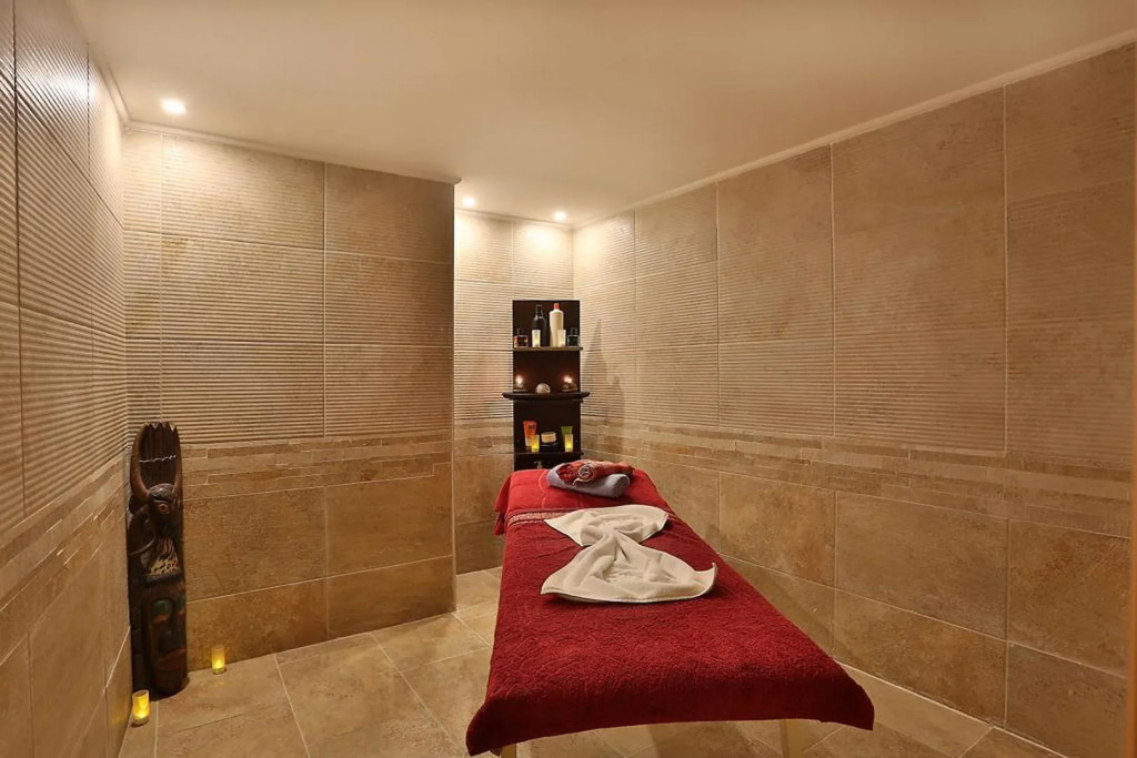 Aspen Hotel Istanbul - Général