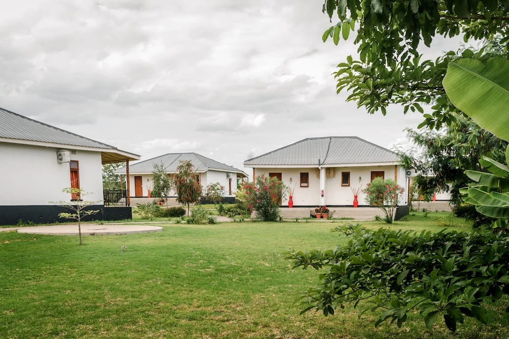 Moyoni Airport Lodge - Chambres