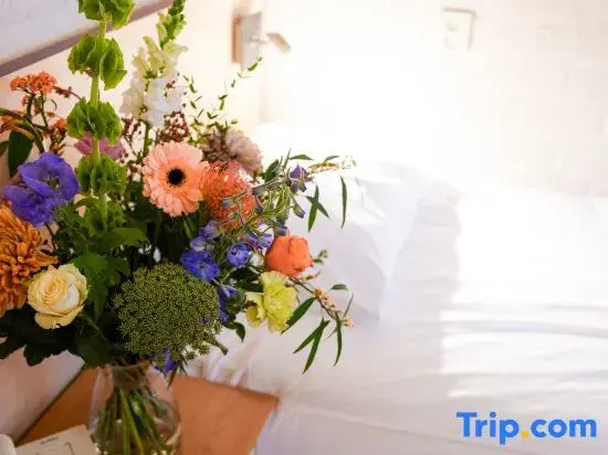 Buitengoed Fredeshiem - Chambres