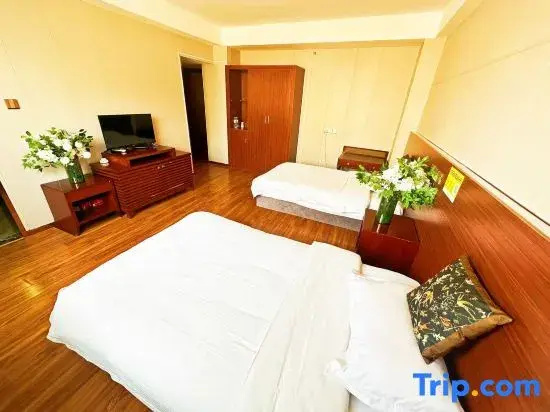 Standard Double room with city view (twin beds)