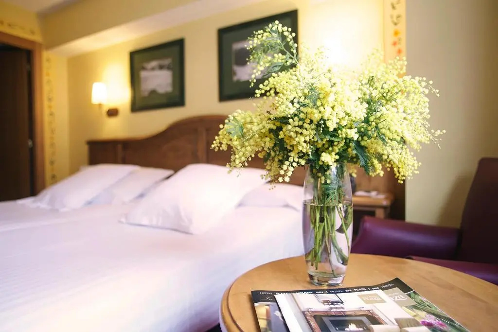Ski Plaza Hotel & Wellness - Chambres