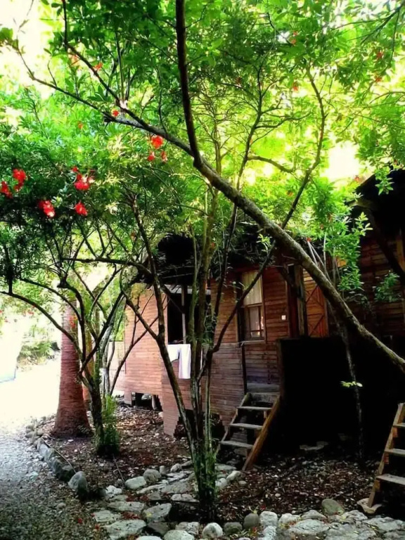 Economy Double room with garden view (full double bed)
