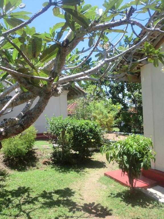 Top Of The Hill Guesthouse