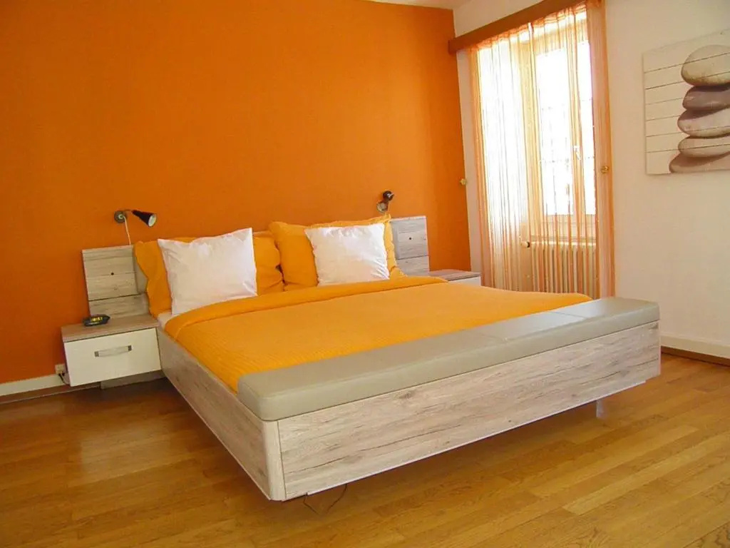 Standard Double room with lake view (full double bed)