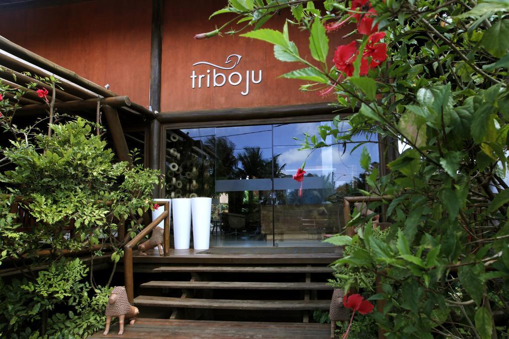 Triboju Inn by null