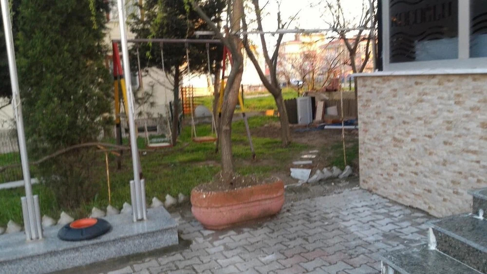 Image 12