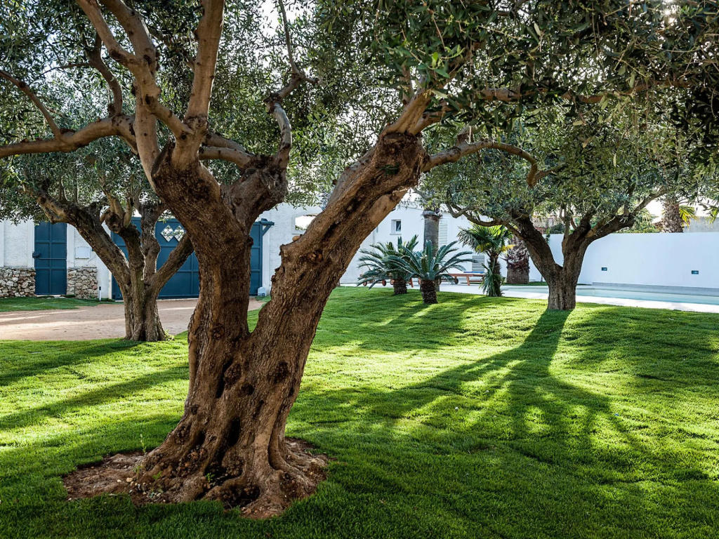 Elegant flat in villa with pool and garden, just a few kilometres from the sea!