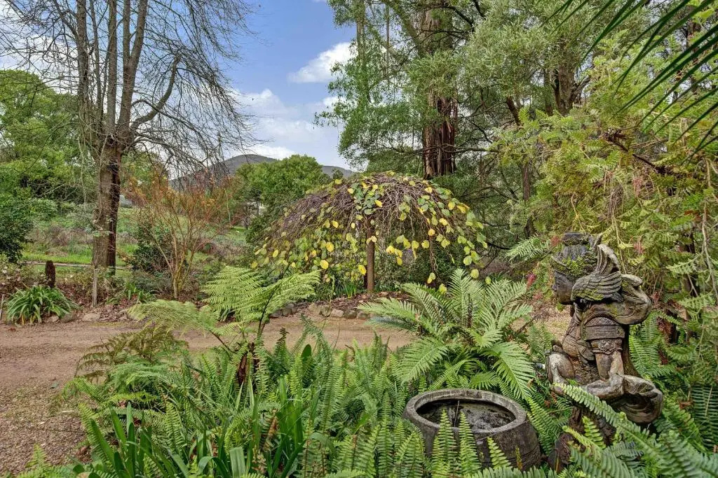 1 Bedroom Suite with garden view
