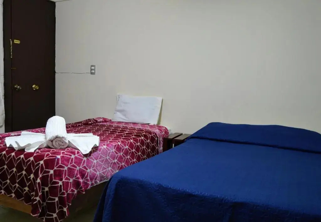 Standard Double room (twin beds)