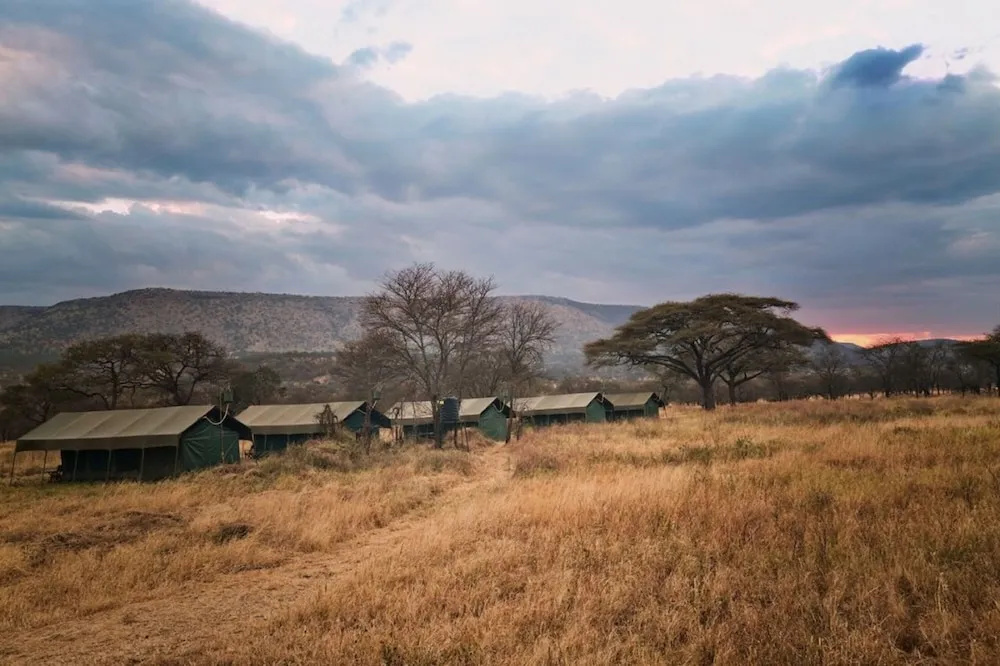 Rongai Eleven Serengeti Camp